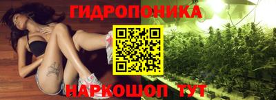 сатива Апшеронск