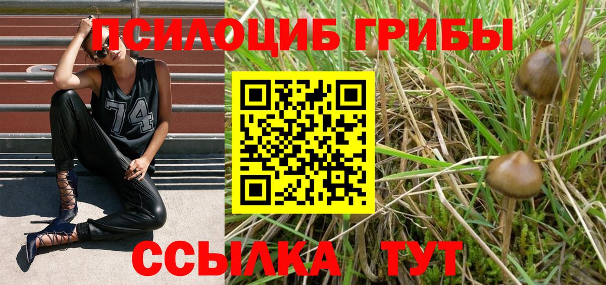 Псилоцибиновые грибы Cubensis  Псилоцибиновые грибы Psilocybine cubensis  Архангельск 
