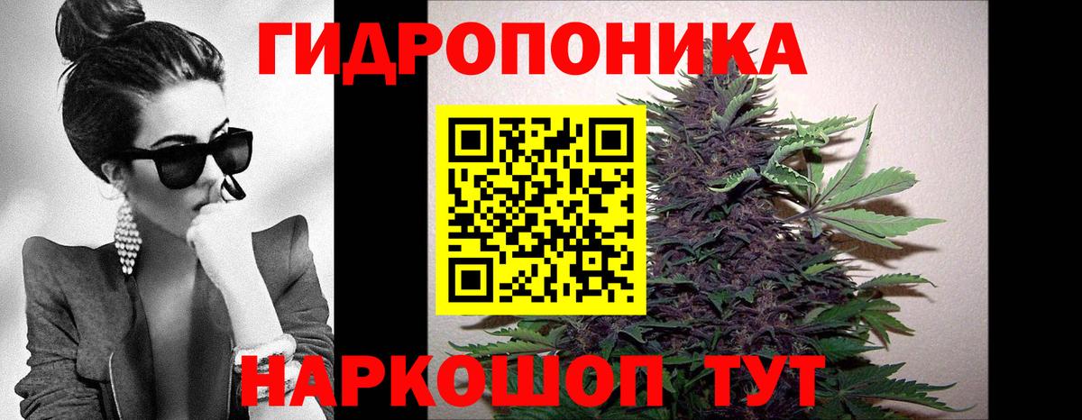 Марихуана планчик Архангельск